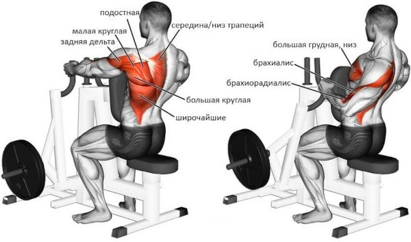 Горизонтальная тяга в тренажере хаммер, на спину, сидя. Техника